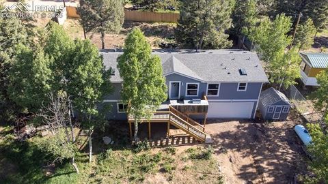 Tiny photo for 451 Fern Road, Woodland Park, CO 80863 (MLS # 8890735)