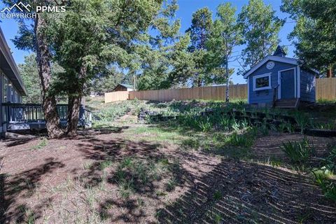 Tiny photo for 451 Fern Road, Woodland Park, CO 80863 (MLS # 8890735)