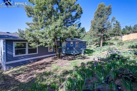 Tiny photo for 451 Fern Road, Woodland Park, CO 80863 (MLS # 8890735)