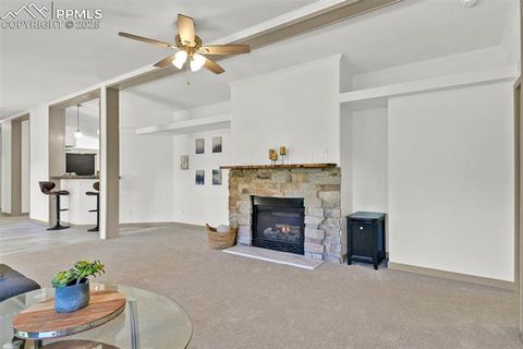 Tiny photo for 451 Fern Road, Woodland Park, CO 80863 (MLS # 8890735)