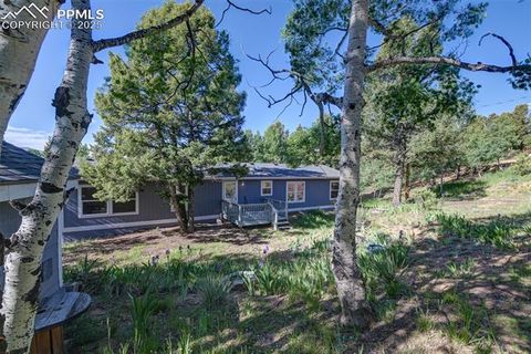 Tiny photo for 451 Fern Road, Woodland Park, CO 80863 (MLS # 8890735)