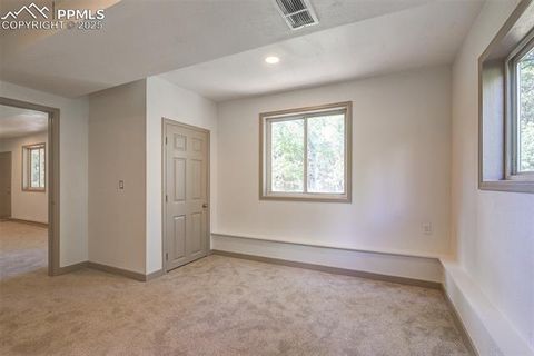 Tiny photo for 451 Fern Road, Woodland Park, CO 80863 (MLS # 8890735)