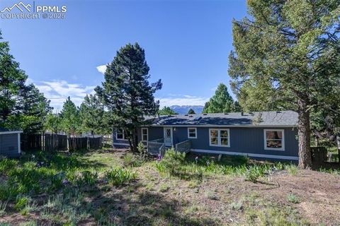 Tiny photo for 451 Fern Road, Woodland Park, CO 80863 (MLS # 8890735)
