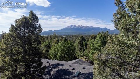 Tiny photo for 451 Fern Road, Woodland Park, CO 80863 (MLS # 8890735)