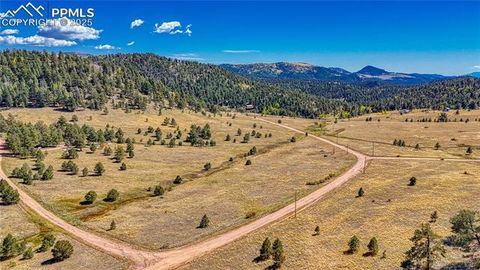 667 Penrose Circle Florissant CO 80816