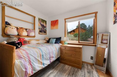 Tiny photo for 18 Holiday Drive, Woodland Park, CO 80863 (MLS # 3797504)