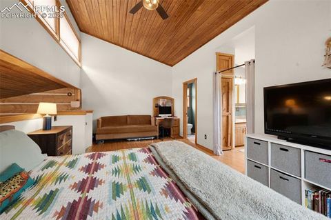 Tiny photo for 18 Holiday Drive, Woodland Park, CO 80863 (MLS # 3797504)
