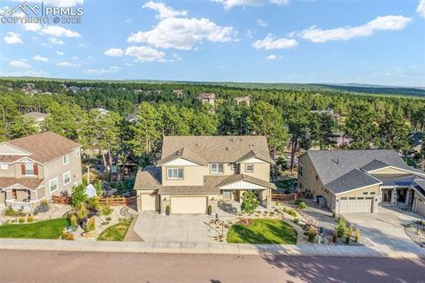 16267 Thunder Cat Way Monument CO 80132