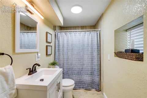 Tiny photo for 431 E 2nd Street, Florence, CO 81226 (MLS # 1141009)