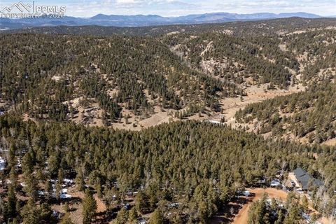 Photo of 81 Haven Road, Divide, CO 80814 (MLS # 1808302)