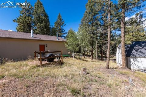 Tiny photo for 1625 N Mountain Estates Road, Florissant, CO 80816 (MLS # 2649057)