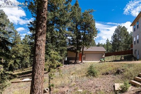 Tiny photo for 1625 N Mountain Estates Road, Florissant, CO 80816 (MLS # 2649057)