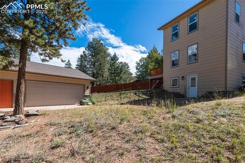 Tiny photo for 1625 N Mountain Estates Road, Florissant, CO 80816 (MLS # 2649057)