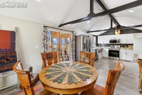 Tiny photo for 1625 N Mountain Estates Road, Florissant, CO 80816 (MLS # 2649057)