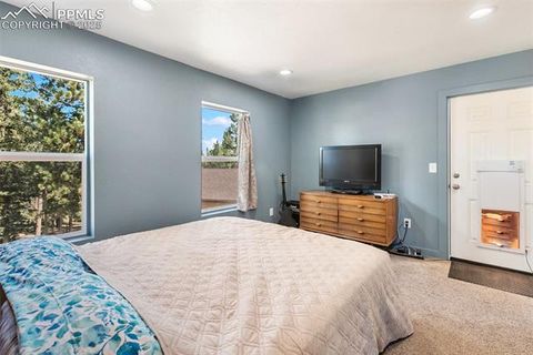 Tiny photo for 1625 N Mountain Estates Road, Florissant, CO 80816 (MLS # 2649057)