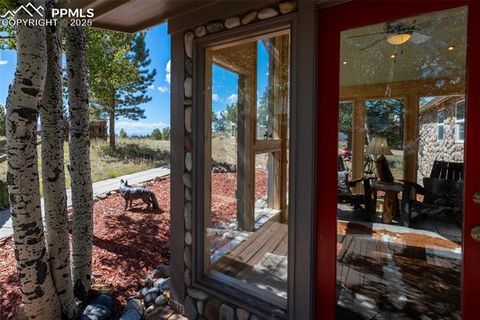 Tiny photo for 1625 N Mountain Estates Road, Florissant, CO 80816 (MLS # 2649057)