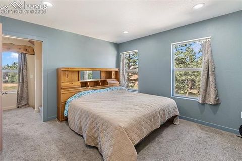 Tiny photo for 1625 N Mountain Estates Road, Florissant, CO 80816 (MLS # 2649057)