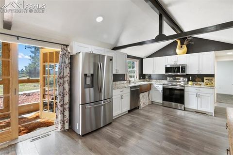 Tiny photo for 1625 N Mountain Estates Road, Florissant, CO 80816 (MLS # 2649057)