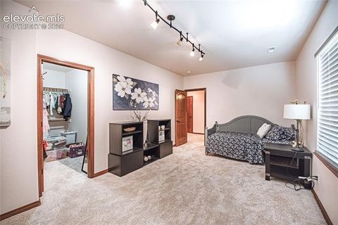 Tiny photo for 11854 Black Hills Drive, Peyton, CO 80831 (MLS # 6389399)
