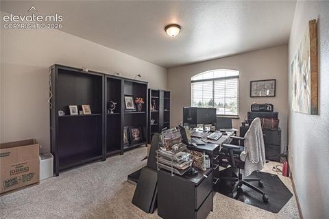 Tiny photo for 11854 Black Hills Drive, Peyton, CO 80831 (MLS # 6389399)
