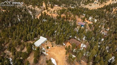 Photo of 43 Dusti Circle, Florissant, CO 80816 (MLS # 8674115)