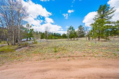 Photo of 121 Bridle Lane, Florissant, CO 80816 (MLS # 3957400)