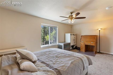 Tiny photo for 71 Mt Elbert Drive, Florissant, CO 80816 (MLS # 5975197)