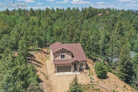Tiny photo for 71 Mt Elbert Drive, Florissant, CO 80816 (MLS # 5975197)