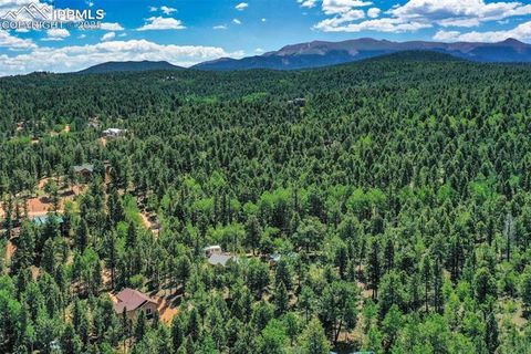 Tiny photo for 71 Mt Elbert Drive, Florissant, CO 80816 (MLS # 5975197)