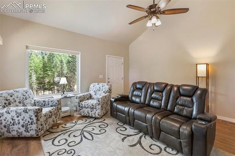 Tiny photo for 71 Mt Elbert Drive, Florissant, CO 80816 (MLS # 5975197)