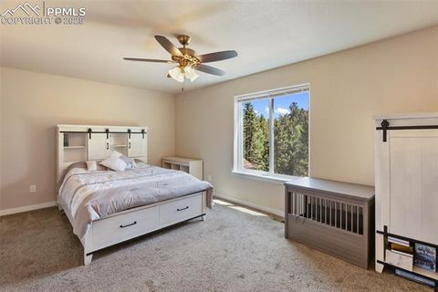 Tiny photo for 71 Mt Elbert Drive, Florissant, CO 80816 (MLS # 5975197)