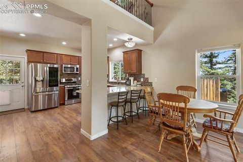 Tiny photo for 71 Mt Elbert Drive, Florissant, CO 80816 (MLS # 5975197)