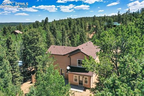 Tiny photo for 71 Mt Elbert Drive, Florissant, CO 80816 (MLS # 5975197)