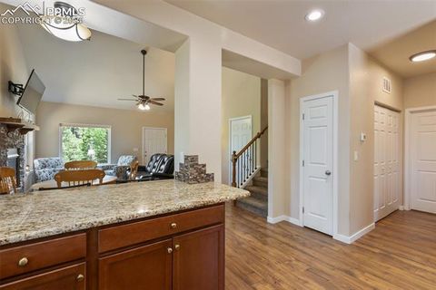 Tiny photo for 71 Mt Elbert Drive, Florissant, CO 80816 (MLS # 5975197)