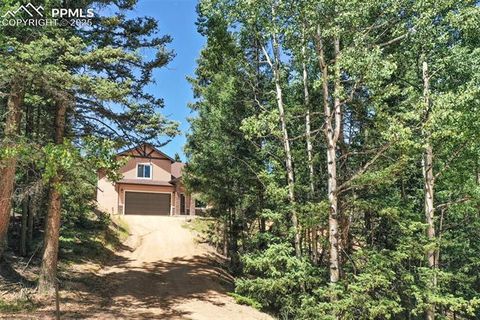 Tiny photo for 71 Mt Elbert Drive, Florissant, CO 80816 (MLS # 5975197)