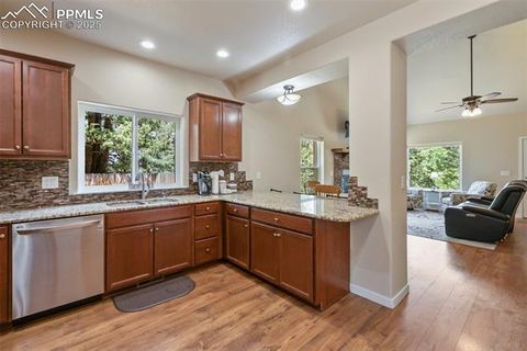 Tiny photo for 71 Mt Elbert Drive, Florissant, CO 80816 (MLS # 5975197)