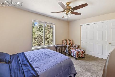 Tiny photo for 71 Mt Elbert Drive, Florissant, CO 80816 (MLS # 5975197)