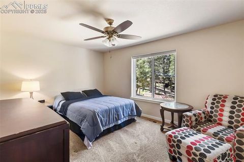 Tiny photo for 71 Mt Elbert Drive, Florissant, CO 80816 (MLS # 5975197)