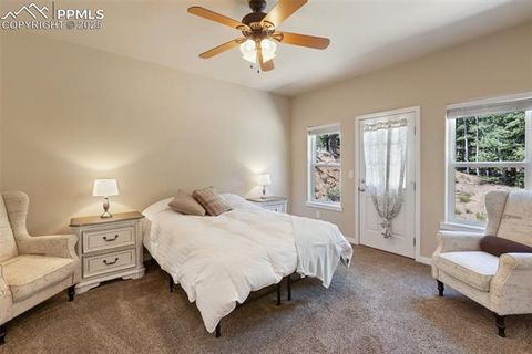 Tiny photo for 71 Mt Elbert Drive, Florissant, CO 80816 (MLS # 5975197)