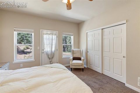 Tiny photo for 71 Mt Elbert Drive, Florissant, CO 80816 (MLS # 5975197)