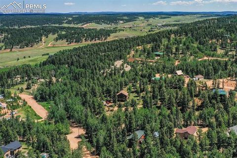 Tiny photo for 71 Mt Elbert Drive, Florissant, CO 80816 (MLS # 5975197)