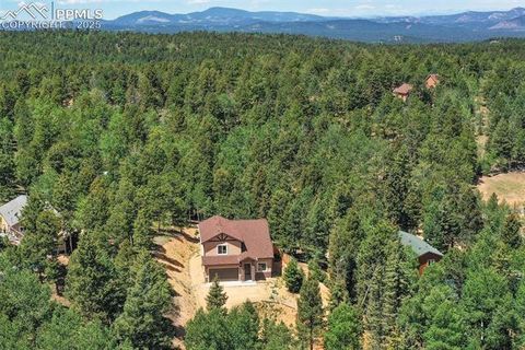 Tiny photo for 71 Mt Elbert Drive, Florissant, CO 80816 (MLS # 5975197)