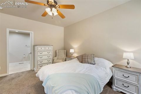 Tiny photo for 71 Mt Elbert Drive, Florissant, CO 80816 (MLS # 5975197)