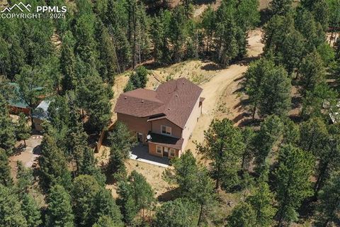 Tiny photo for 71 Mt Elbert Drive, Florissant, CO 80816 (MLS # 5975197)