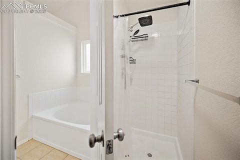 Tiny photo for 11360 Berry Farm Road, Fountain, CO 80817 (MLS # 1022444)