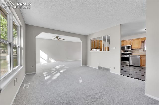 113 Homer Drive