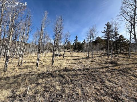 Photo of 32 Sugar Loaf Lane, Jefferson, CO 80456 (MLS # 5213903)