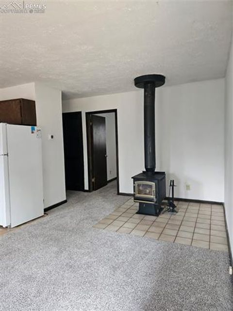 Tiny photo for 480 Blue Mountain Drive, Florissant, CO 80816 (MLS # 5897560)