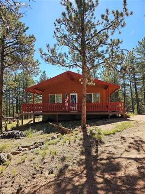 Photo of 480 Blue Mountain Drive, Florissant, CO 80816 (MLS # 5897560)