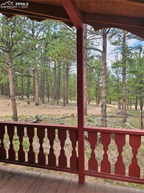 Tiny photo for 480 Blue Mountain Drive, Florissant, CO 80816 (MLS # 5897560)